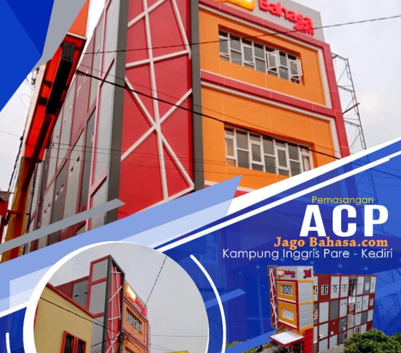 Distributor ACP Seven 11 Distributor ACP Seven 11
