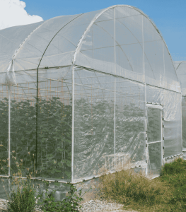 Jasa Pembuatan Green House